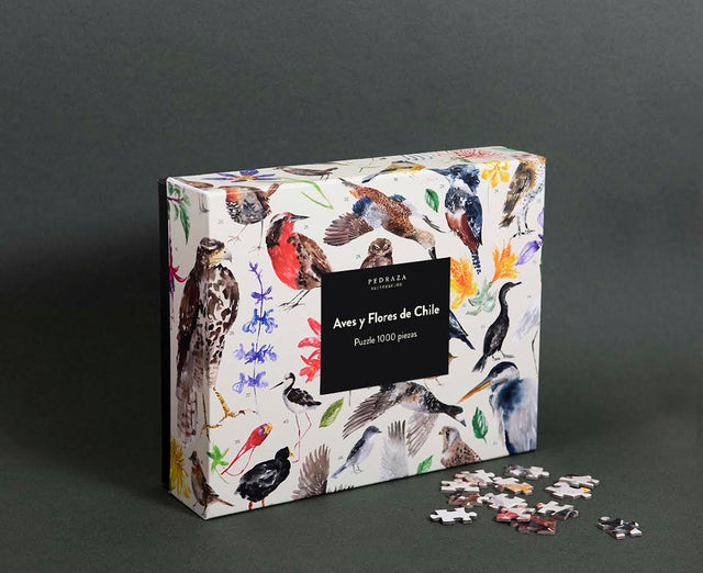 Caja del puzzle de 1000 piezas ‘Mariposas y Escarabajos de Chile’, con ilustración educativa de la biodiversidad chilena.