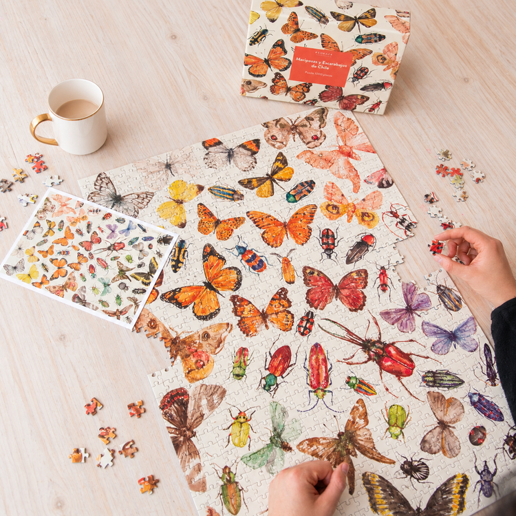 Puzzle 1000 piezas Mariposas y escarabajos de Chile – Pedraza Ilustración