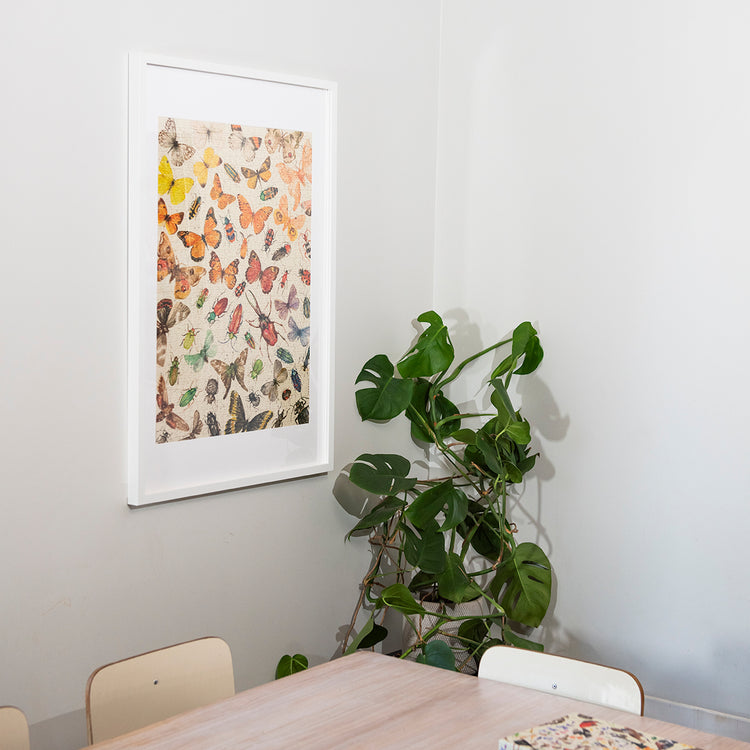 Pack 2 Puzzles ( Cetáceos de Chile + Mariposas y Escarabajo de Chile )