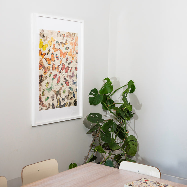 Puzzle de 1000 piezas ‘Mariposas y Escarabajos de Chile’ enmarcado, con ilustración detallada de especies nativas. Ideal para decoración
