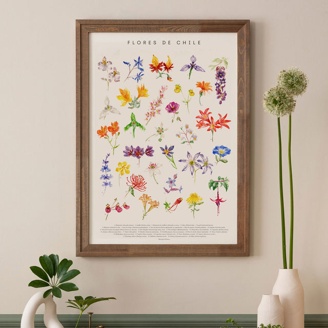 Lámina Flores de Chile