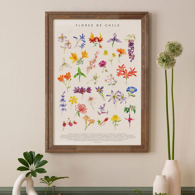 Lámina Flores de Chile