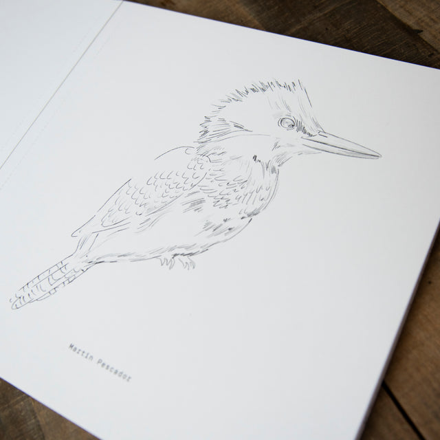 Libro para Colorear – Aves de Chile