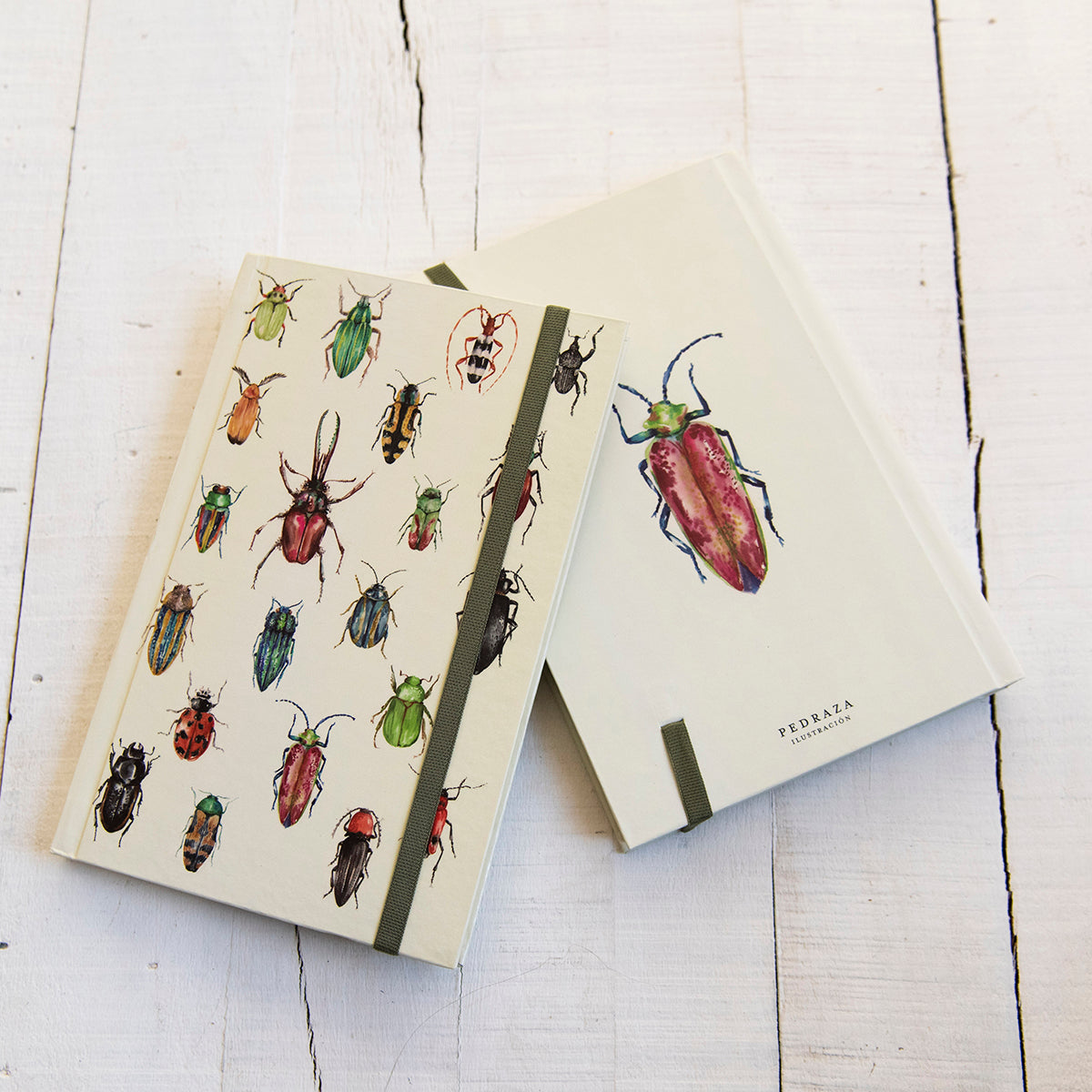 Libreta Escarabajos de Chile