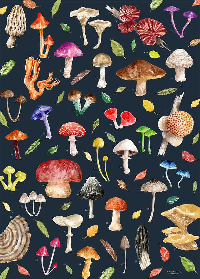 Puzzle ilustrado – Hongos de Chile (1000 piezas)