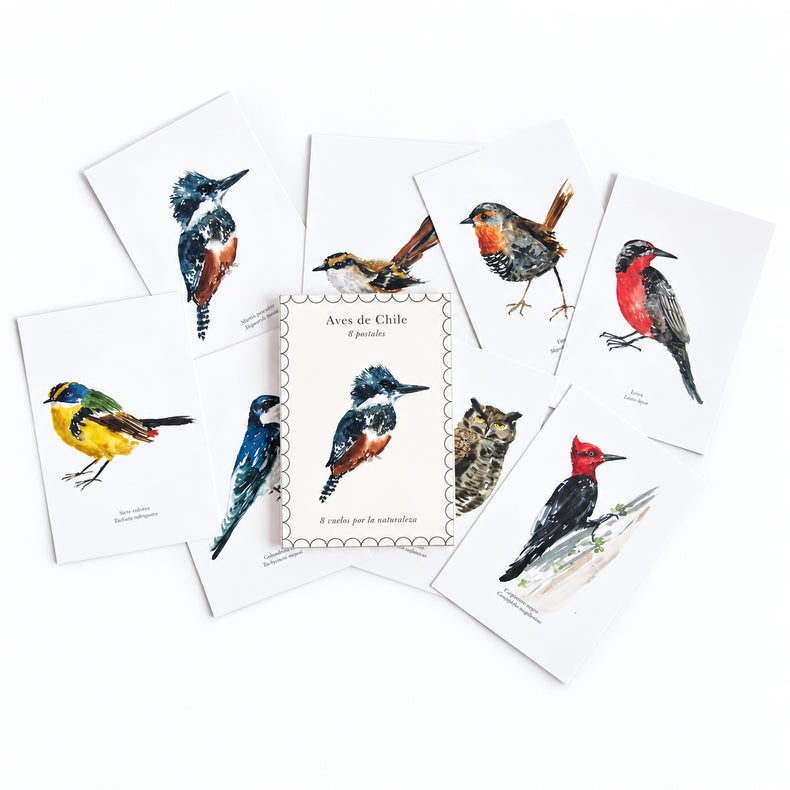Pack 8 postales Aves de Chile