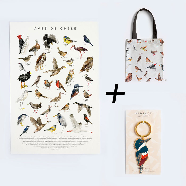 Pack Lámina Aves - Bolso aves - pin Martin pescador