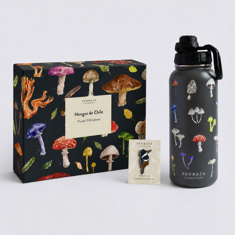 Pack Explorador