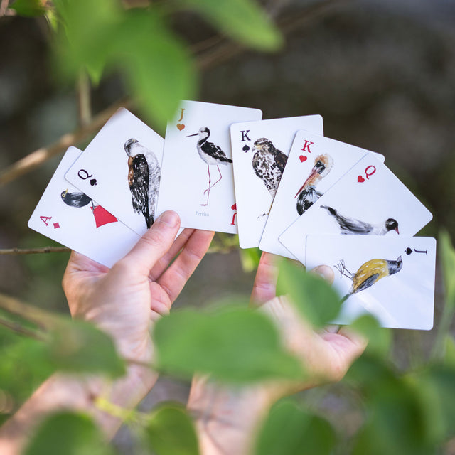 Juego Naipes Aves de Chile