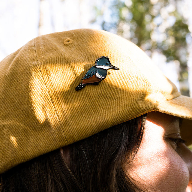 Pin Martín Pescador - Broche