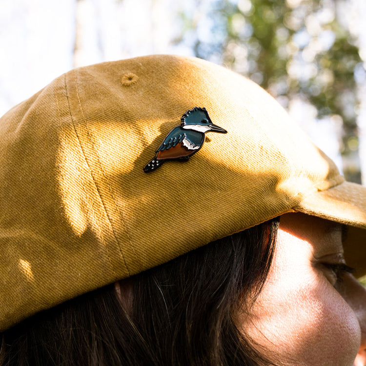 Pin Martín Pescador - Broche