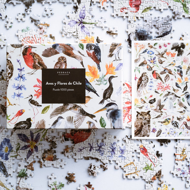 Pack Aves de Chile, edición limitada Navidad.