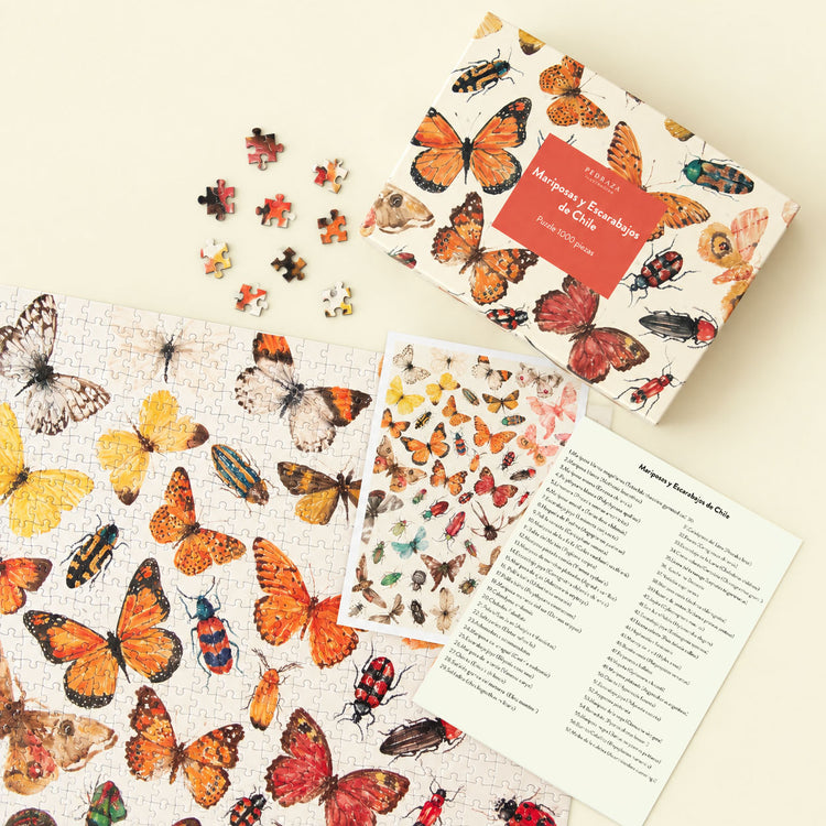 Puzzle 1000 piezas Mariposas y escarabajos de Chile – Pedraza Ilustración