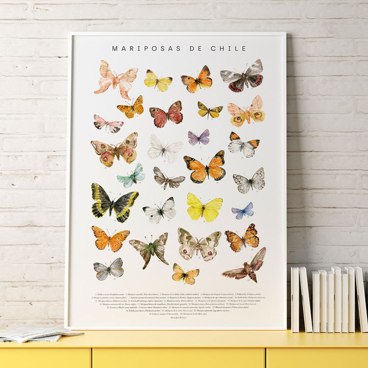 Lámina Mariposas de Chile