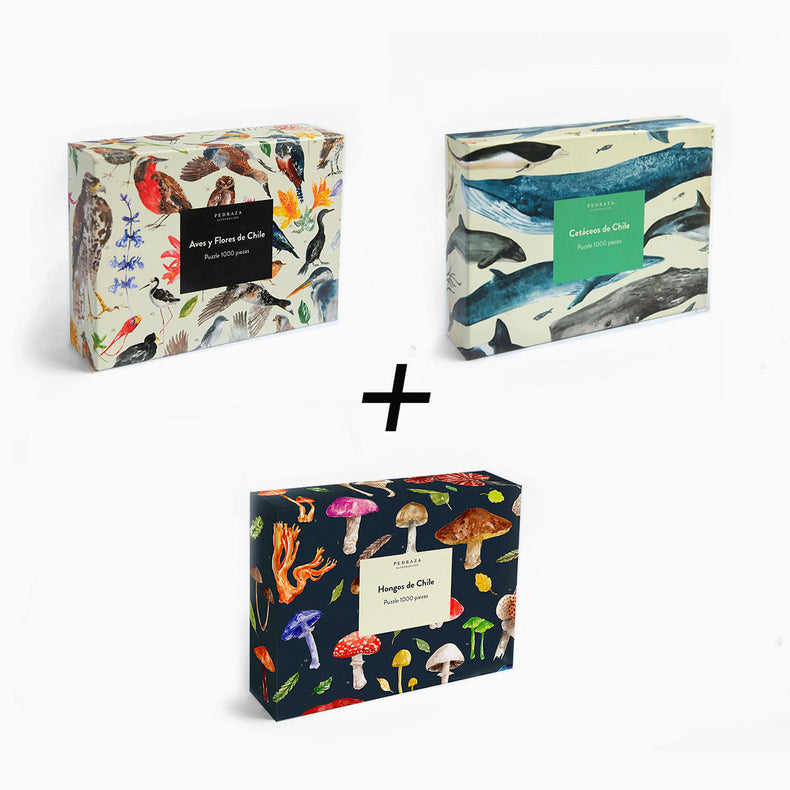 Pack 3 puzzles 1000 piezas: Aves, Hongos y Cetáceos de Chile – Pedraza Ilustración