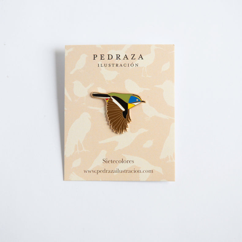 Pin Sietecolores - Broche