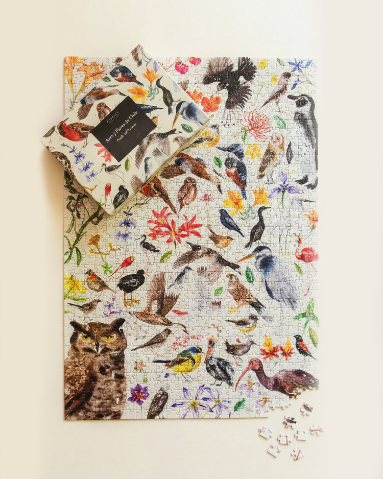 Pack Ilustración y Naturaleza