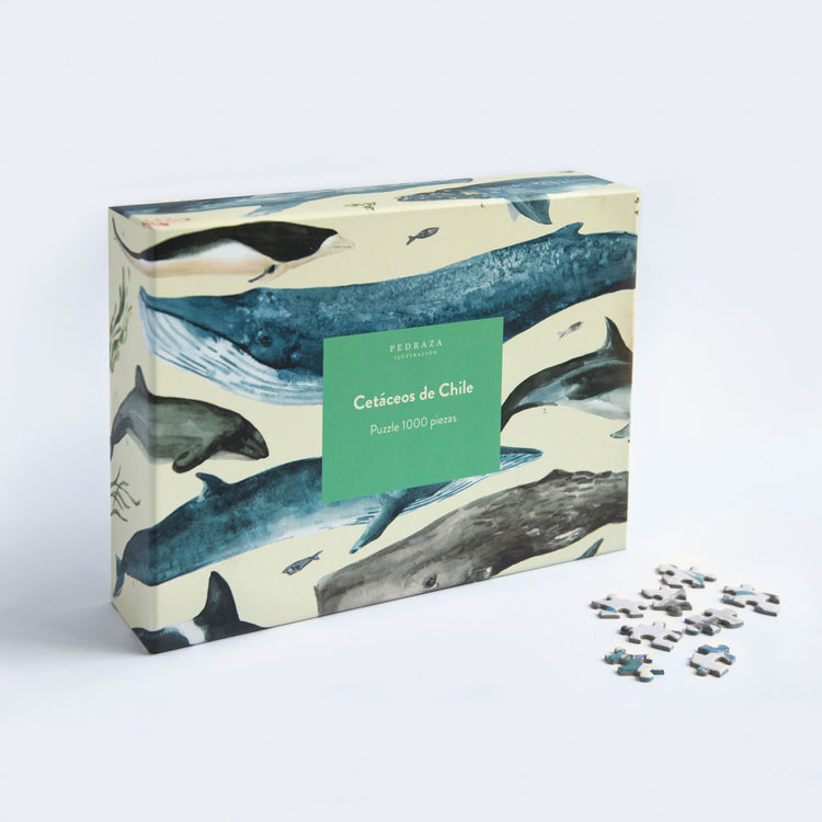 Pack puzzle Cetáceos + set 8 postales Aves de Chile