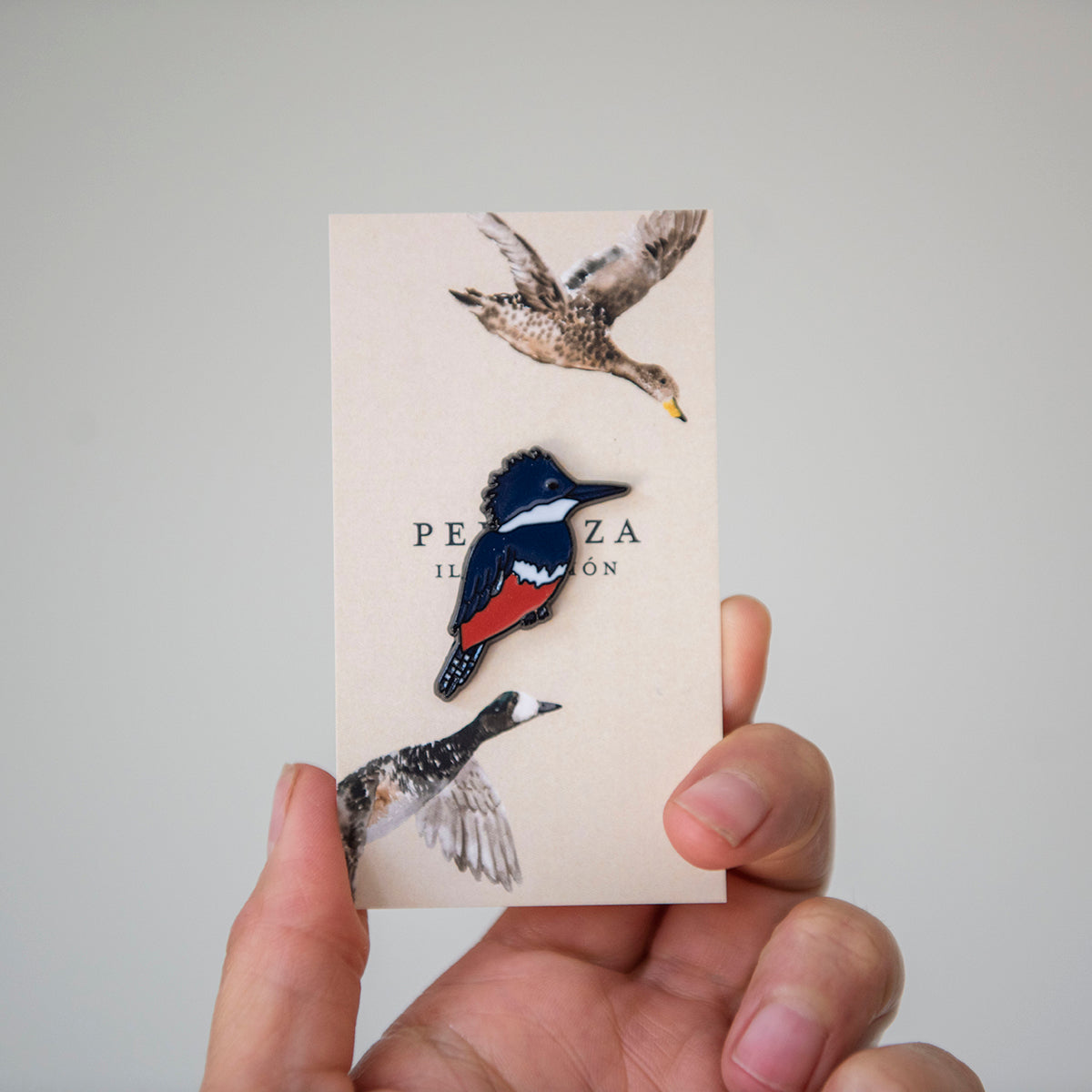 Pins Martín Pescador