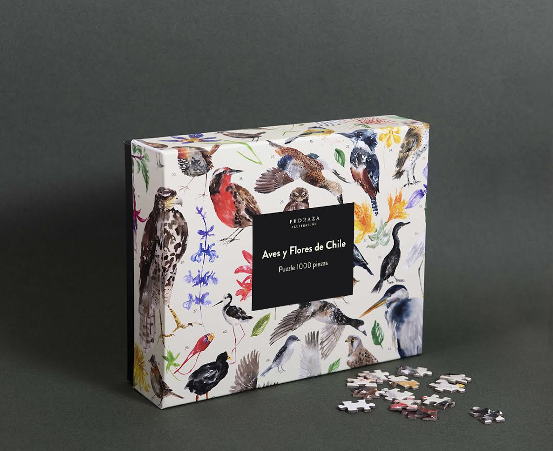 Caja del puzzle de 1000 piezas ‘Mariposas y Escarabajos de Chile’, con ilustración educativa de la biodiversidad chilena.