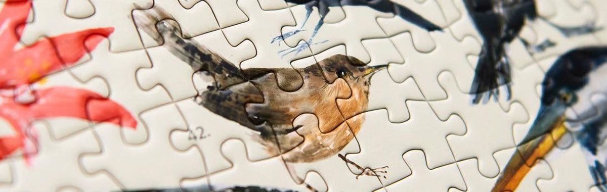 Puzzles