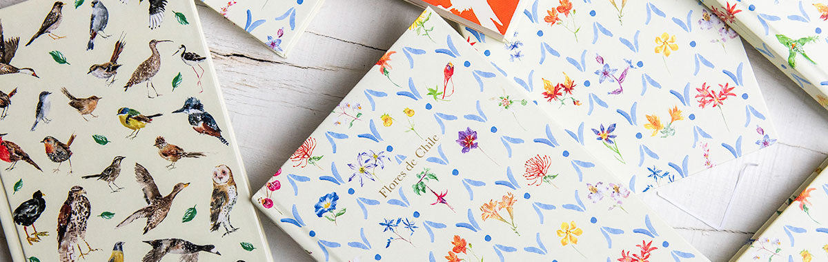 Papelería