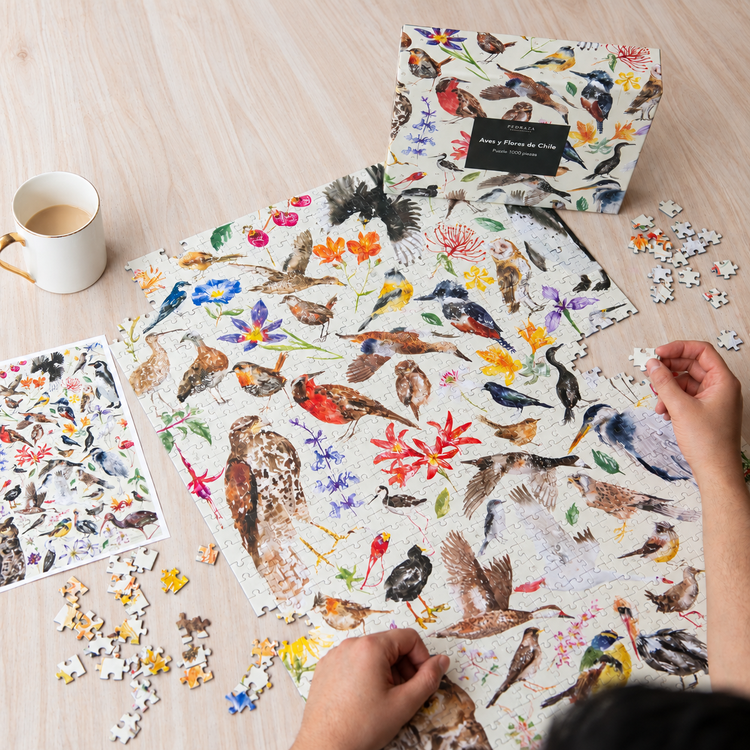 Puzzle ilustrado – Aves y flores de Chile (1000 piezas)