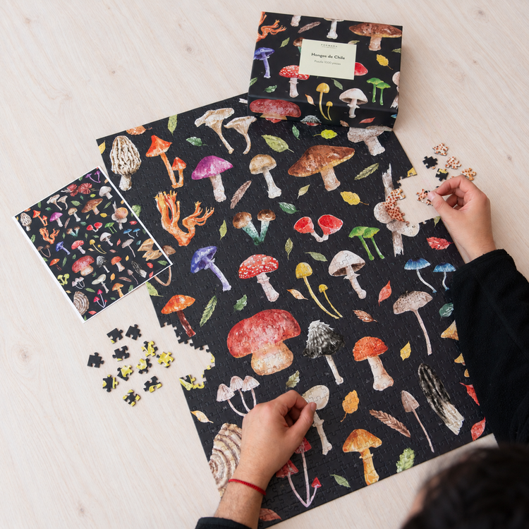 Puzzle 1000 piezas Hongos de Chile – Pedraza Ilustración