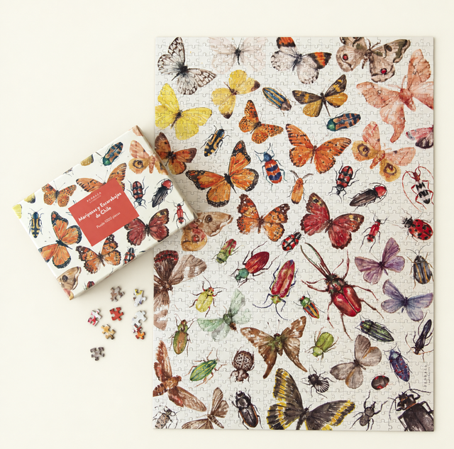 Puzzle 1000 piezas Mariposas y escarabajos de Chile – Pedraza Ilustración
