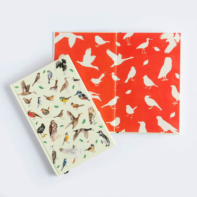 Libreta Aves
