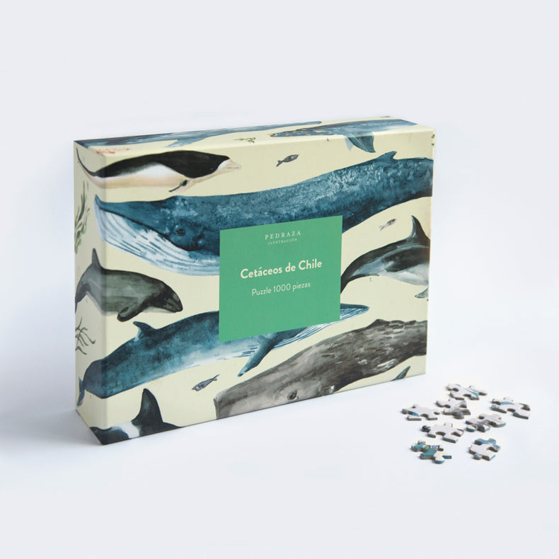 Puzzle ilustrado – Cetáceos de Chile (1000 piezas)