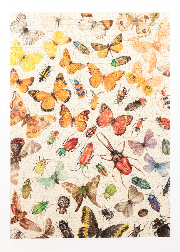 Puzzle de 1000 piezas con ilustración de mariposas y escarabajos de Chile. Diseño educativo, incluye guía y mide 50 x 70 cm.
