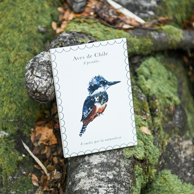 Pack 8 postales Aves de Chile