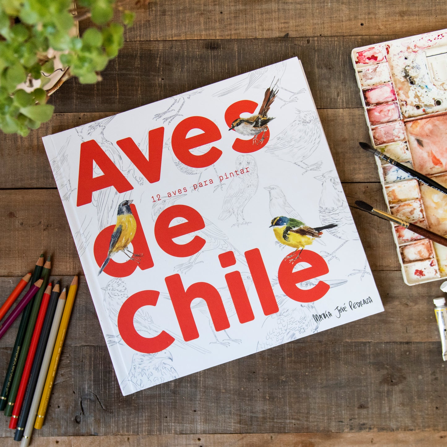 Libro para pintar  Aves de Chile