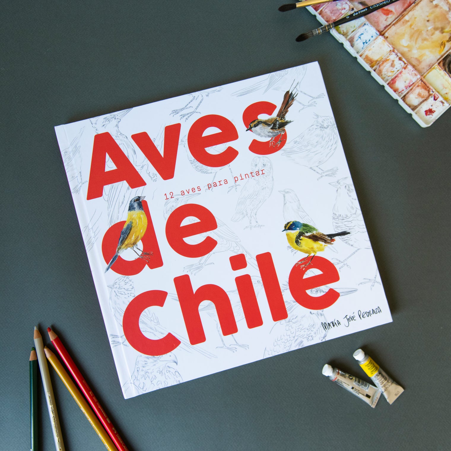 Libro para Colorear – Aves de Chile