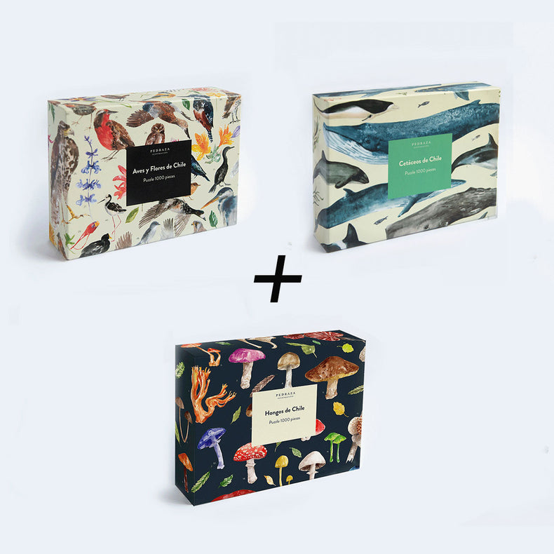 Pack 3 puzzles Aves, hongos y cetáceos de Chile