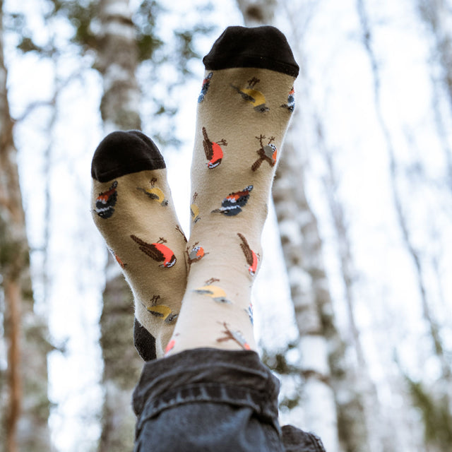 Calcetines Aves de Chile Beige