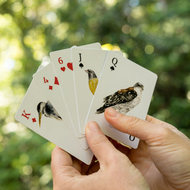 Pack Puzzle Cetáceos + Naipes Aves de Chile