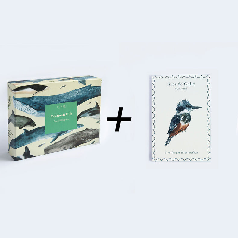 Pack puzzle Cetáceos + set 8 postales Aves de Chile