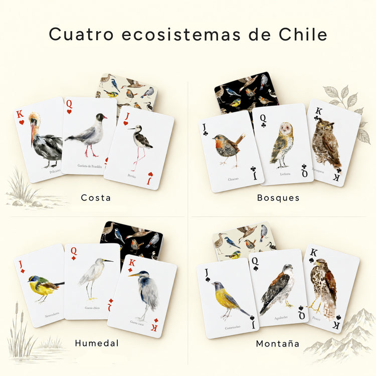 Juego Naipes Aves de Chile