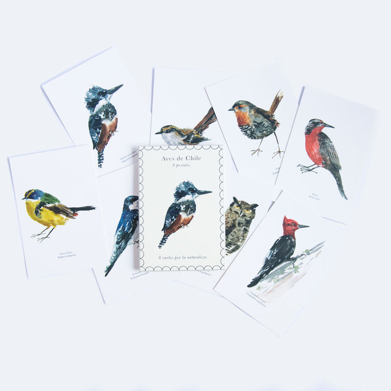 Pack 8 postales Aves de Chile