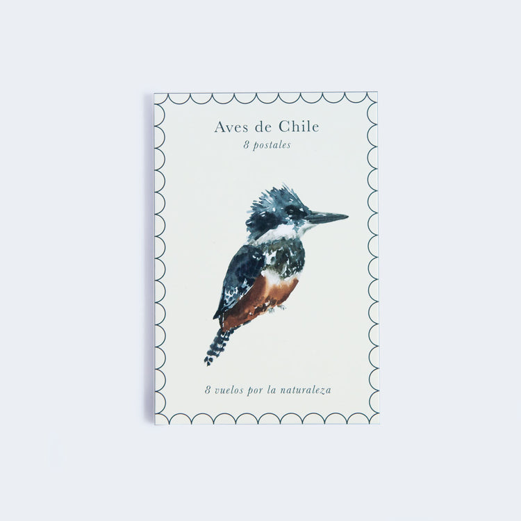 Pack 8 postales Aves de Chile